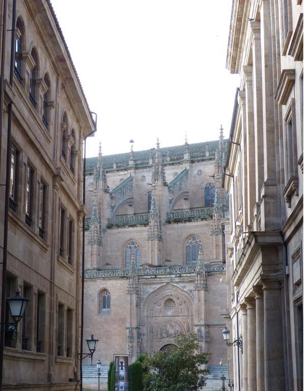 Las Catedrales De Salamanca Camera foto